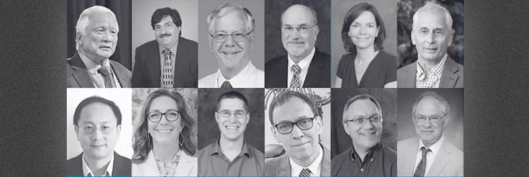 A composite showing the 14 NEOMED scientists who are among the top 2% most-cited researchers globally.