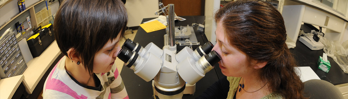 Two researchers in lab looking into a microscope