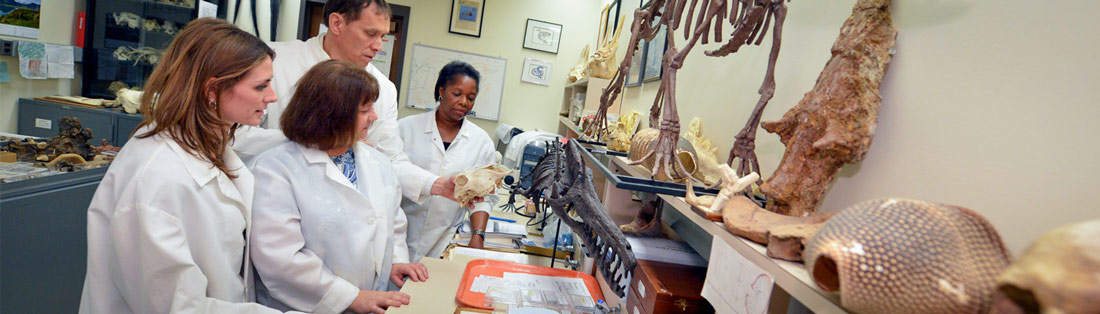 Four researchers examine a bone in a lab at the Musculoskeletal Research Focus Area at NEOMED.