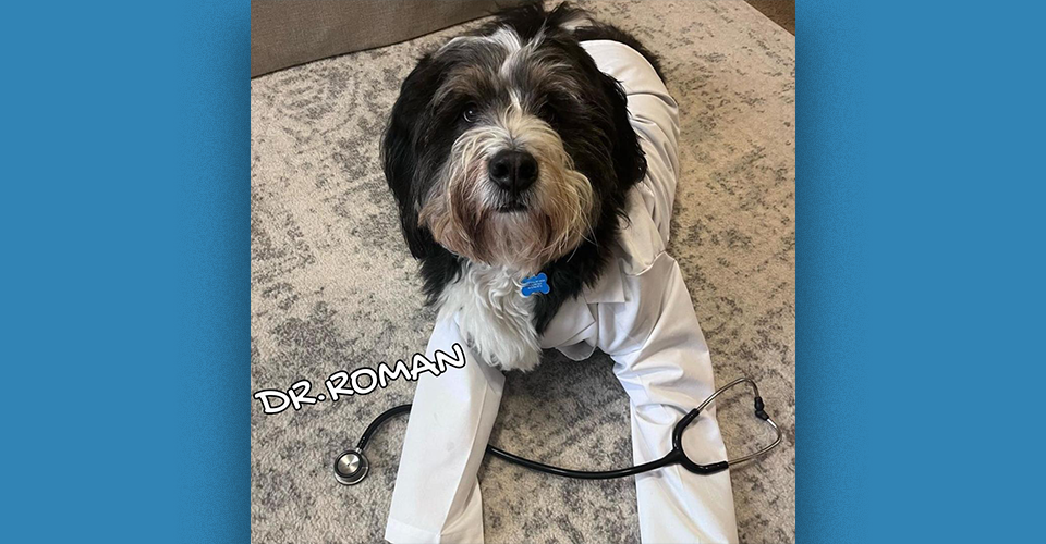 NEOMED doggos take over social media on National Dog Day
