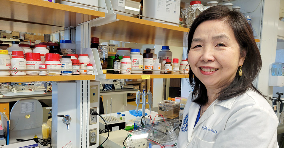 Unsung Heroes: Liya Yin