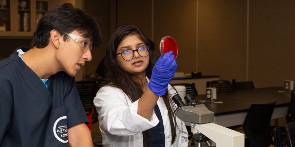 Undergraduate students explore world of medicine at NEOMED’s MEDCAMP