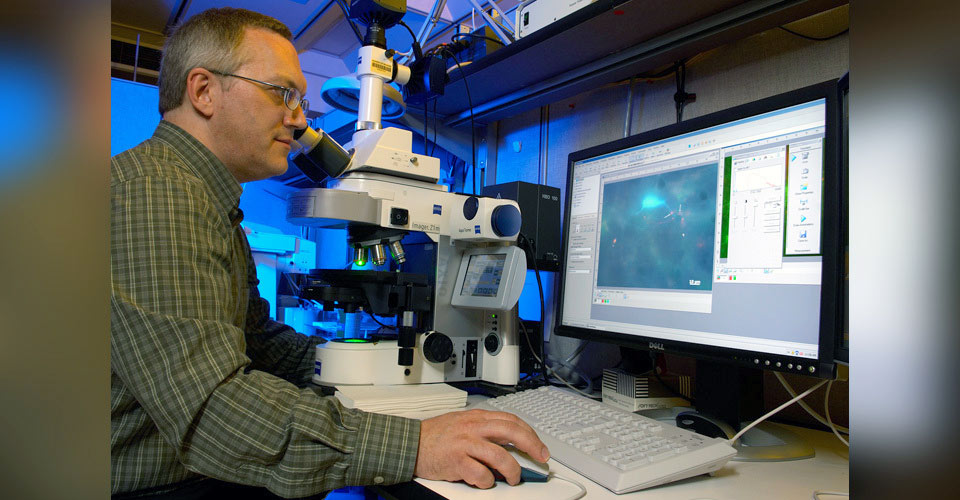 NIH Funds Brett Schofield to Study Cholinergic Circuits, Key to Processing Sound