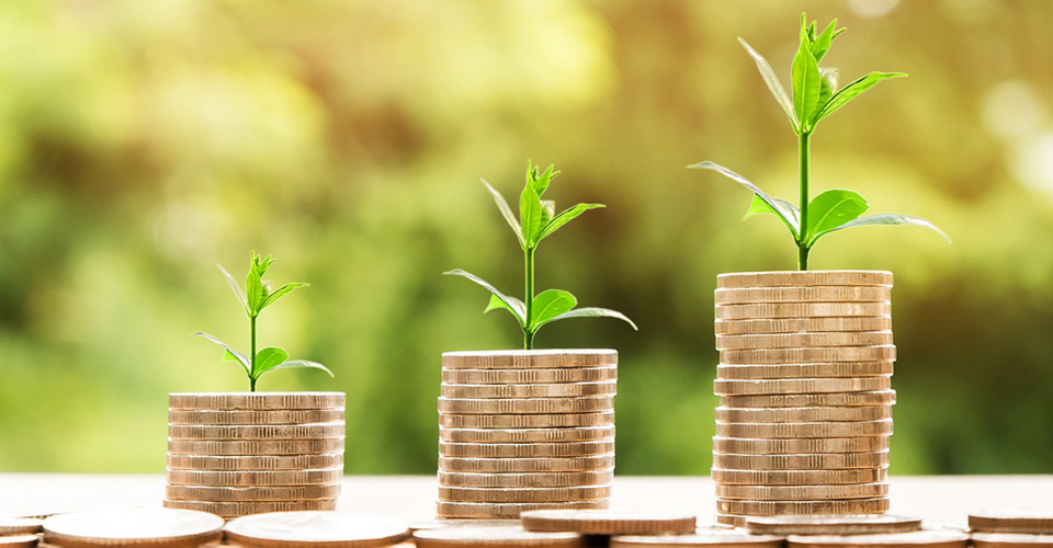 Get to Know Financially Fit Future Pharmacists Club