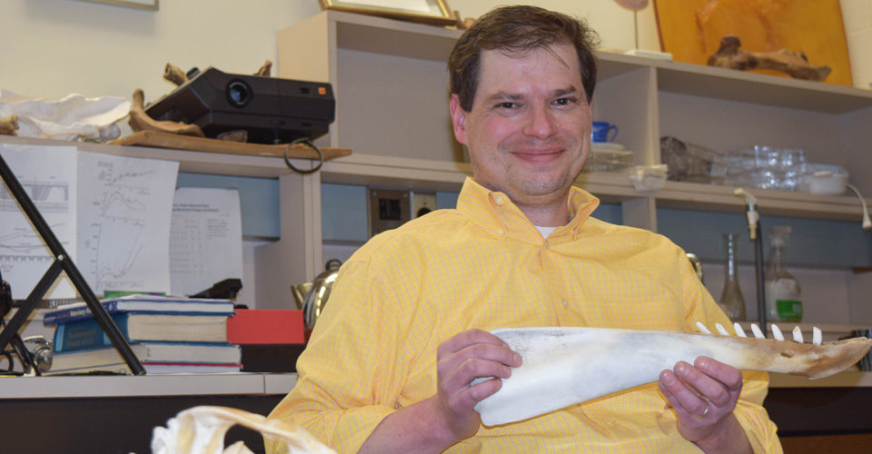 Researcher David A. Waugh, Ph.D.