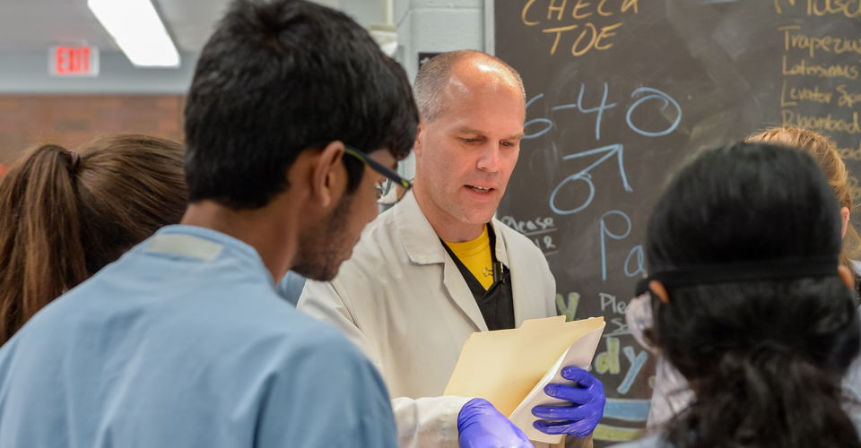 Sizing it Up: Unraveling the Genetic History of the World’s Biggest Mice