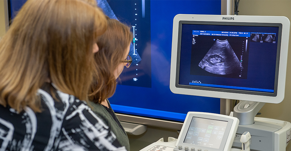 Get to Know NEOMED’s Ultrasound Interest Group
