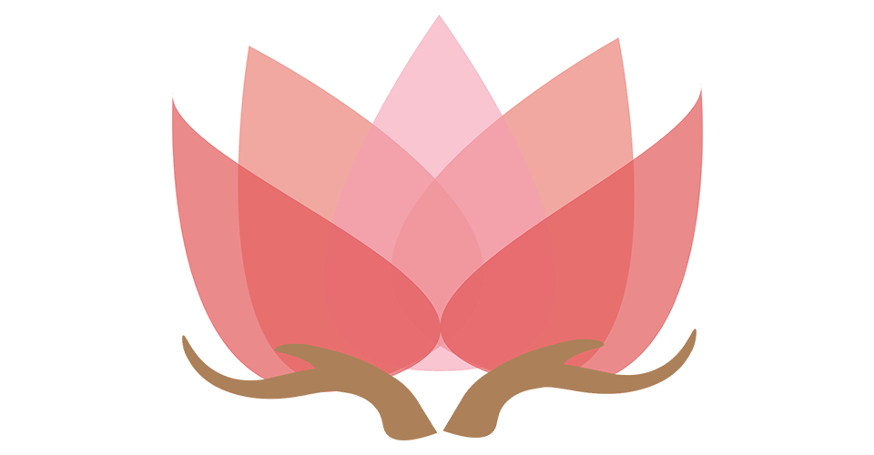 Get To Know Mindfulness in Medicine