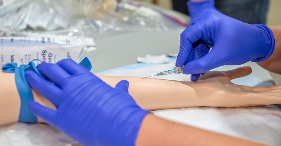 Protecting the Patient: Medical Errors and Safety