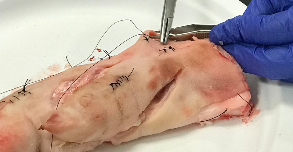 A Stitch in Time