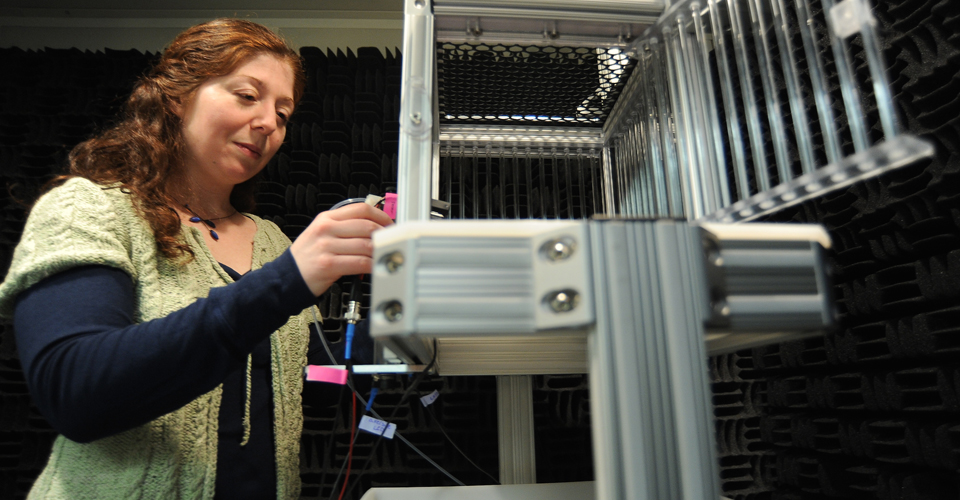 Researcher Studies Lasting Effects of Early Hearing Loss and Stress
