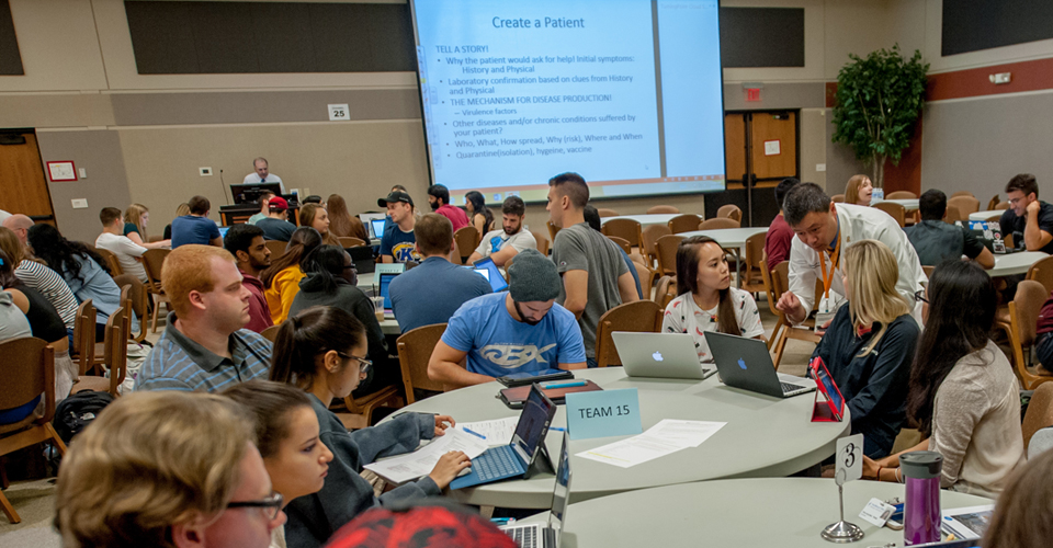 Bug-Based Learning