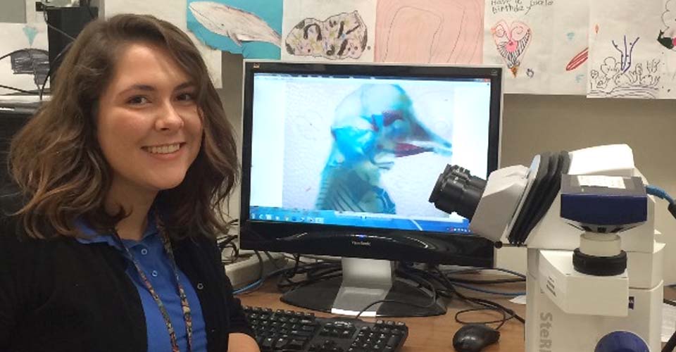 Get to Know Bio-Med Interns on NEOMED Campus: Part 1