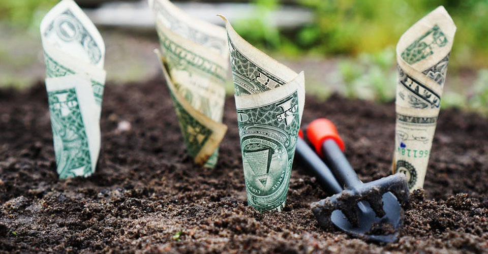 Grow Me the Money