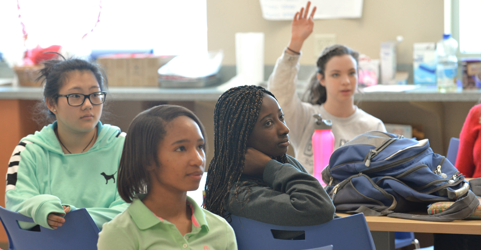 Halting a Crisis: Educating Youth