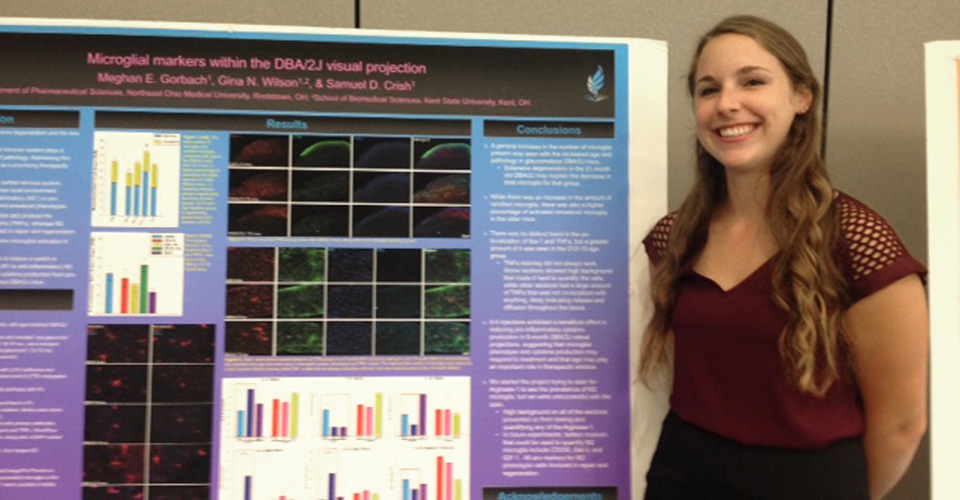 Summer Research Fellowship Program’s Annual Poster Day