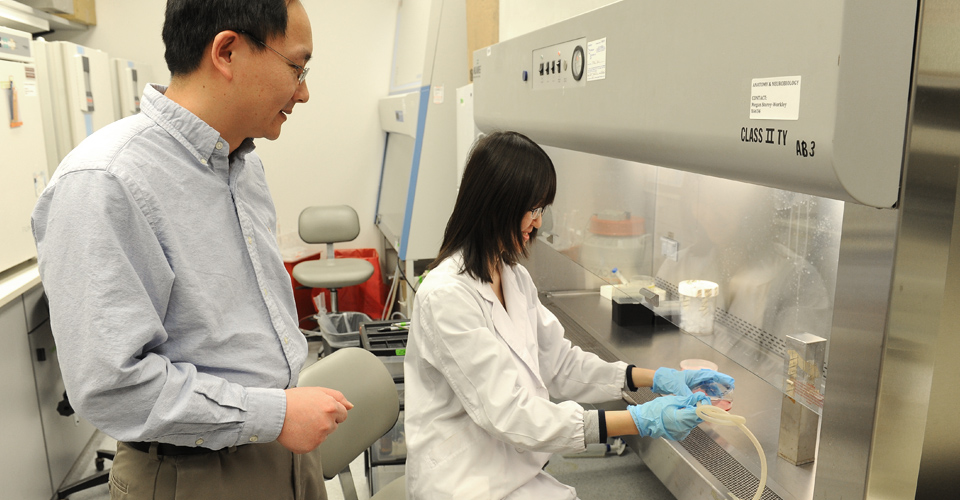 Yanqiao Zhang, M.D., Awarded Grant for Alcoholic Liver Disease