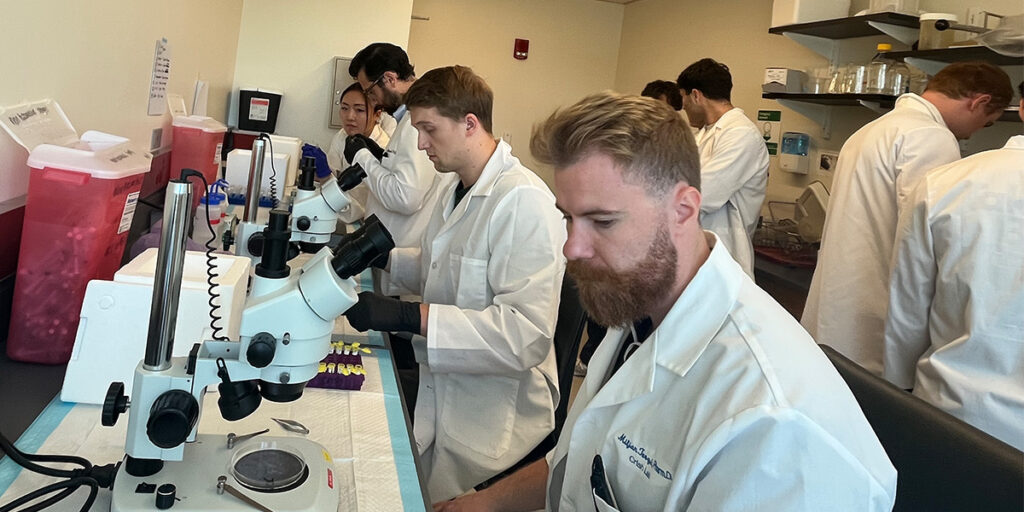 Summer offered abundant research opportunities for students
