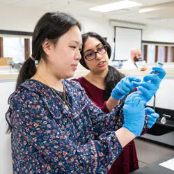 Two students work in a pharmacy lab at NEOMED.
