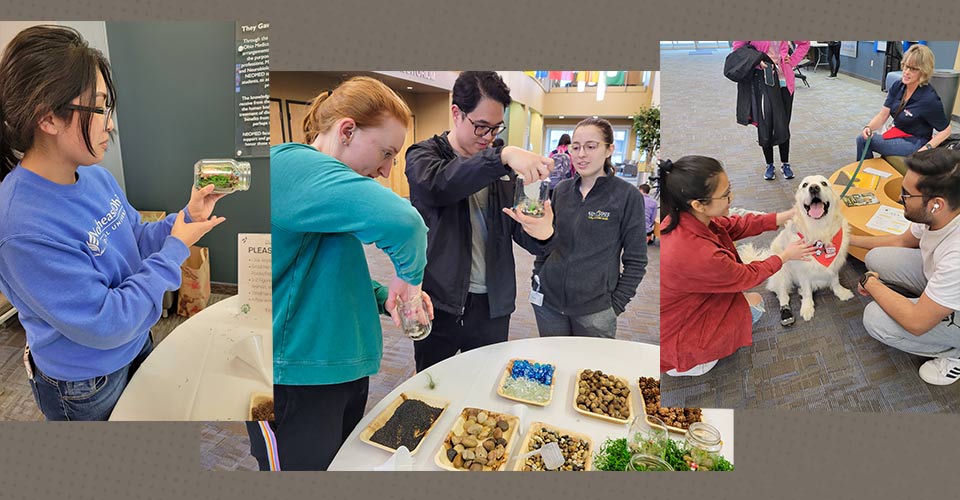 Spring De-Stress Fest Pampers Students