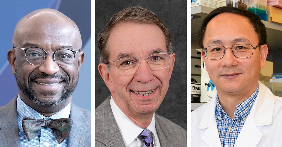 Three named Distinguished University Professor