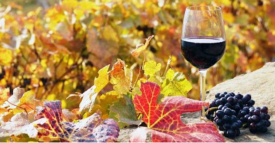 Women in NEOMED’s Fall Social will be Oct. 26