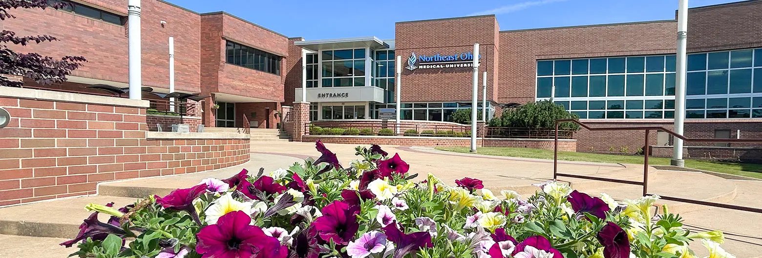 Flowers in front of the main entrance to NEOMED on a sunny day.