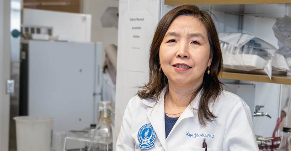 Endothelial Cell Research Topic of Editor’s Choice Webinar April 28