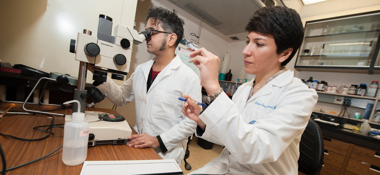 Two researchers in a white coat at work in a lab.