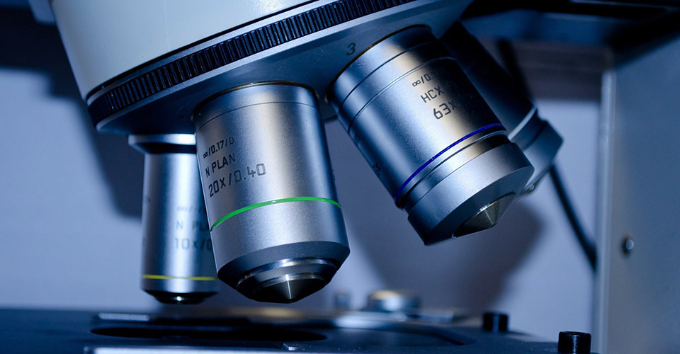 Students coauthor recent journal articles on renal disease