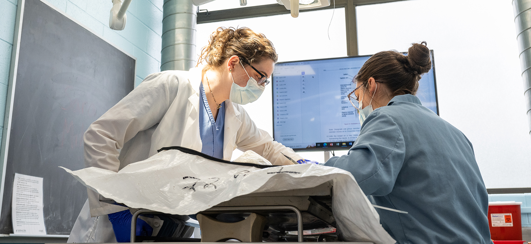 Faculty working with student