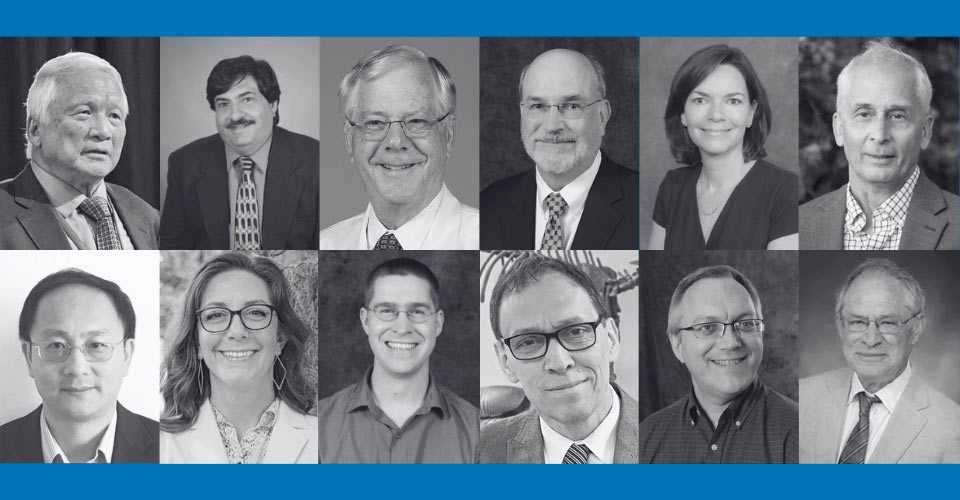 NEOMED scientists recognized among top 2% globally