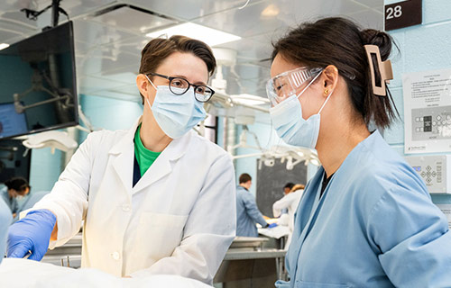 A faculty member makes a point to a student in an anatomy lab.