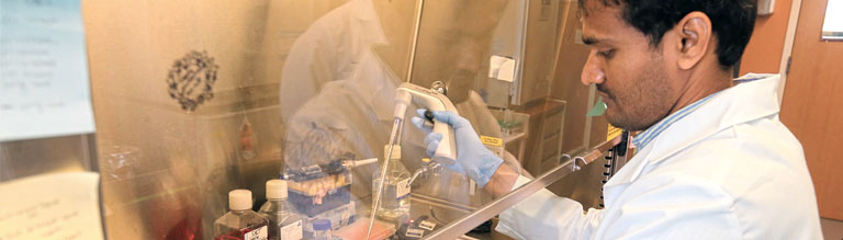 A researcher manipulates an instrument behind glass.