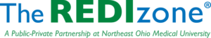 The REDIzone logo