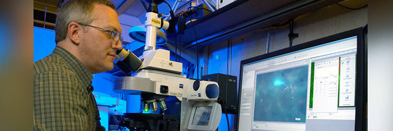 Hearing researcher Brett Schofield, Ph.D., looks into equipment in his lab.