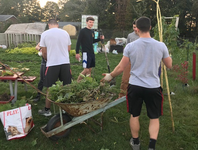 students working in the garden