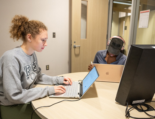 Two students studying in Giant Eagle commons.