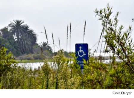 A handicapped parking sign near a lake.