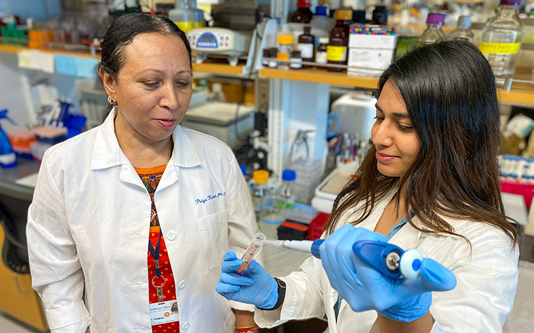Researchers use lab equipment as part of their work at NEOMED.