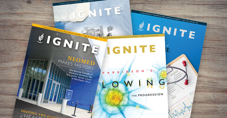A collage of recent Ignite covers.