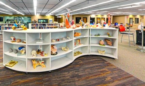 A curved bookshelf inside the library at NEOMED.