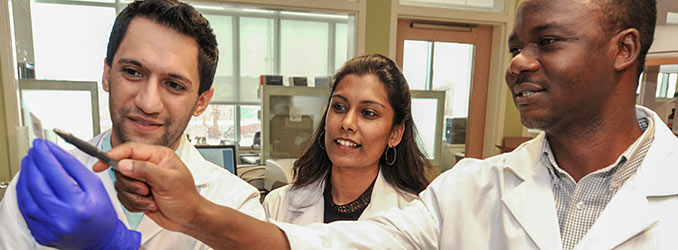 Three medical professionals look at a lab sample.