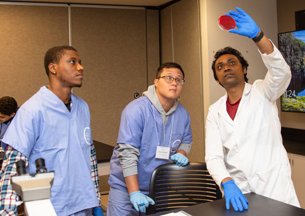 Two Health Careers Camp participants study bacteria in a petrie dish in a NEOMED lab.