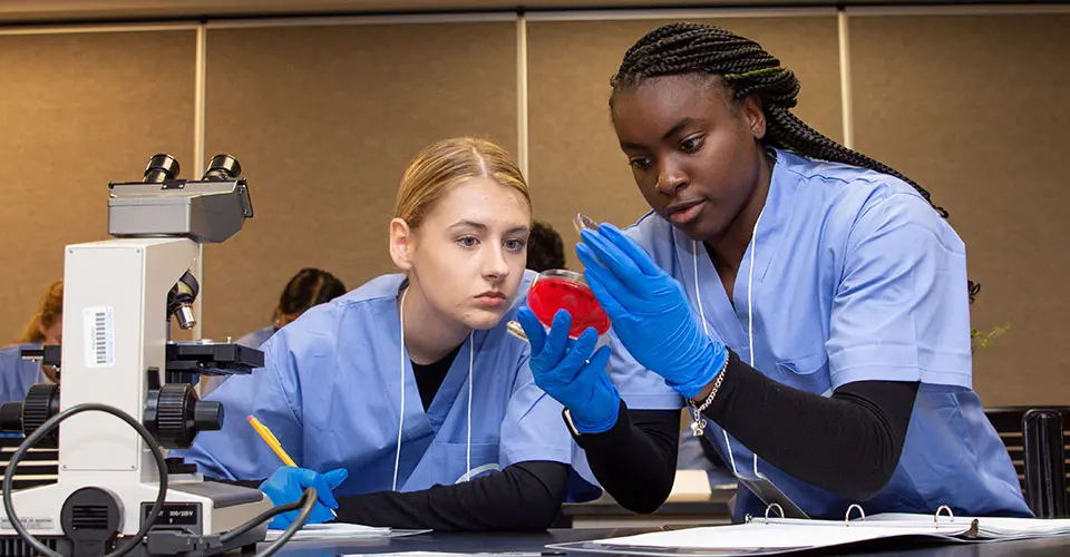Two Health Careers Camp participants study bacteria in a petrie dish in a NEOMED lab.