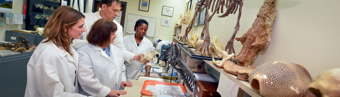 musculoskeletal-research-focus-area-1100 Four researchers examine a bone in a lab at the Musculoskeletal Research Focus Area at NEOMED.