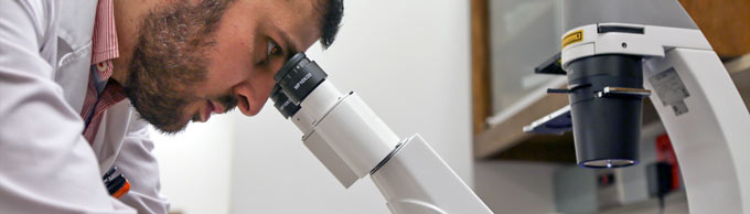 A researcher peers into a microscope.