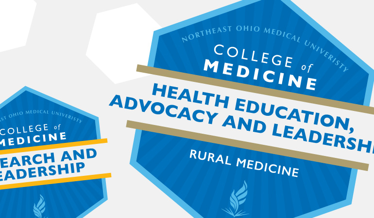 Drawings of the badges awarded through this program.