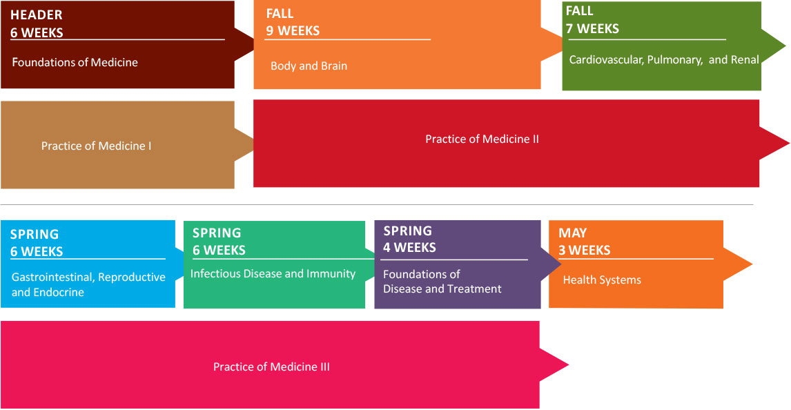 Visual timeline of Year 1 curriculum blocks by term and duration.