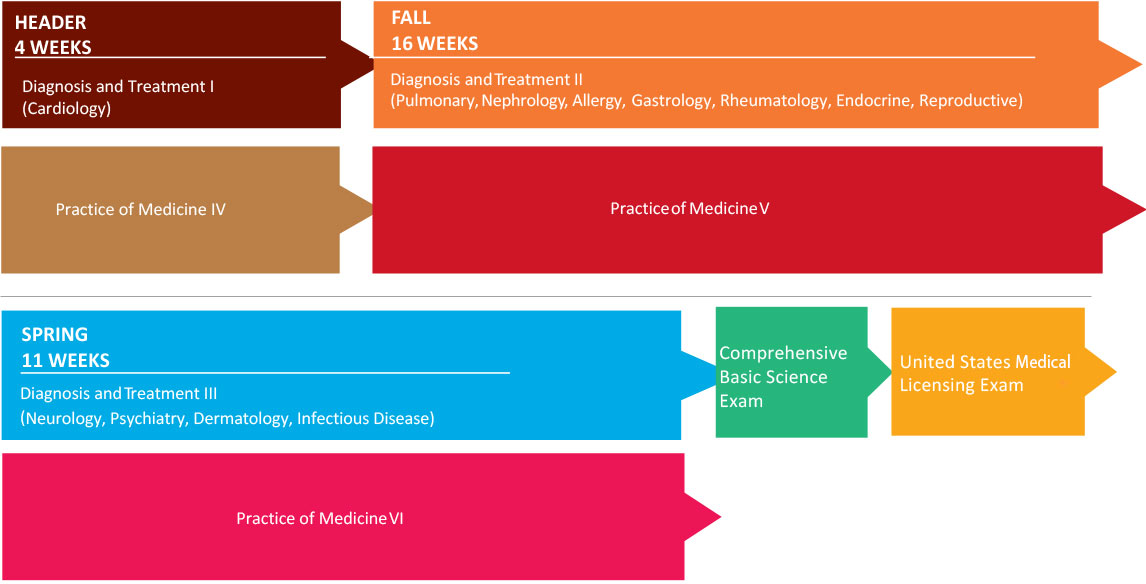 Visual timeline of Year 2 curriculum blocks, exams, and durations.